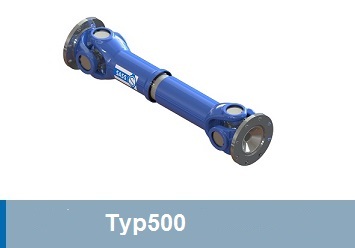 Typ500